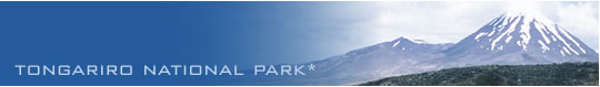 Helistar Helicopters scenic volcanoe tours