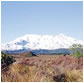 Helistar Helicopters scenic volcanoe tours