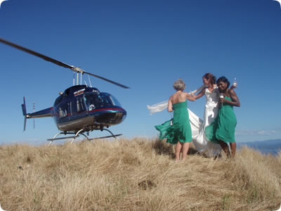 Wedding Party